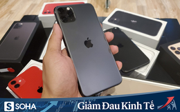 Giá iPhone 11 xách tay “xuống dốc không phanh”, lần đầu rẻ hơn giá niêm yết tại Mỹ