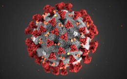 ABC News: Tình báo Mỹ cảnh báo Trung Quốc về virus corona trước khi COVID-19 bùng phát