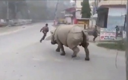 Chuyện gay cấn thời Covid-19: Trốn cách ly lại gặp 1 đối tượng đáng sợ hơn cả cảnh sát