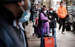 Mỹ: Dòng người xếp hàng chờ ngân hàng thực phẩm phát đồ ăn giữa dịch COVID-19