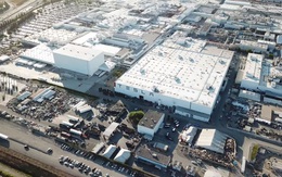 Elon Musk tức giận: 'Tesla sẽ 'ngay lập tức' rời California sau khi hết dịch Covid-19'