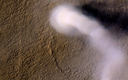 Cơn lốc bụi khổng lồ trên sao Hỏa: "Quỷ bụi Serpentine" lại xuất hiện?