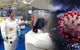 Điều tra về nguồn gốc của virus gây bệnh COVID-19: WHO muốn tham gia, Trung Quốc chưa cho?