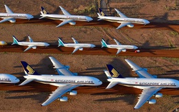 Ngành khai thác chỗ đỗ máy bay bất ngờ "phất lên" nhờ dịch COVID-19