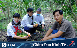 Gặp 2 nông dân 'hốt bạc' từ cây cam sạch giữa dịch Covid-19