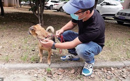 Chủ qua đời vì COVID-19, chó cưng vẫn chờ đợi suốt 3 tháng ở bệnh viện