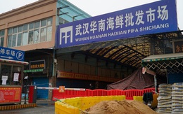 “Chợ Vũ Hán không phải nơi bắt nguồn mà là nơi siêu lây lan Covid-19”