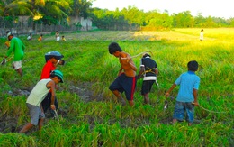 Hai anh em đi bắt cua đồng nhưng lạc hơn 70km, gia đình tá hỏa tìm kiếm khắp nơi