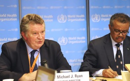 Tranh cãi nảy lửa giữa Mỹ-TQ về nguồn gốc COVID-19: Mỹ nói có "bằng chứng khổng lồ", WHO phản bác