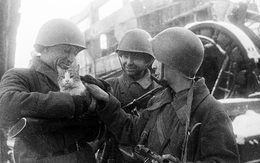 Kỷ niệm 75 năm ngày chiến thắng Chủ nghĩa Phát xít: Chuyện chưa kể về những đơn vị đặc biệt chống phát xít