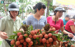 Ma trận hoa quả hạ giá: Đi đâu mua sầu riêng, vải Lục Ngạn “xịn” có giá 19.000 đồng/kg?