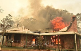 Australia triển khai chiến dịch tiếp cận hàng nghìn người bị mắc kẹt do cháy rừng