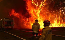Úc bắt 183 kẻ tình nghi liên quan đến thảm họa cháy rừng, trong đó có 69 trẻ vị thành niên, đáng phẫn nộ nhiều kẻ còn tỏ ra "phấn khích tột cùng khi nhìn thấy lửa"