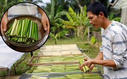 Ống hút cỏ bàng của chàng doanh nhân 8X Việt Nam gây ấn tượng mạnh với truyền thông quốc tế, dân mạng hết lời khen ngợi