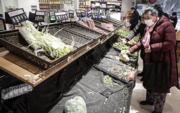 “Khủng hoảng rau” trong tâm dịch Vũ Hán: Dân ùn ùn đi mua rau, giá tăng gấp 10 lần mà vẫn thiếu và nỗi lo không có rau ăn
