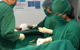 Bác sĩ bỏ ăn Tết, vào bệnh viện hiến máu cứu sản phụ vỡ thai ngoài tử cung