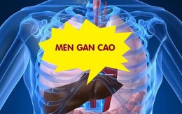 Men gan cao do đâu?