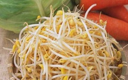 Giá đỗ - Món rau lý tưởng làm đẹp dáng