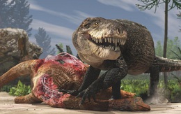 Cá sấu cổ đại: Cỗ máy hủy diệt còn đáng sợ hơn cả khủng long