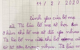 Bảo con viết về chủ đề tình yêu nhân Ngày Valentine, con gái học lớp 1 tả khiến mẹ cười té ghế: 'Bố mẹ tớ quát nhau tung cả nóc nhà'