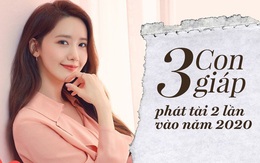 3 con giáp này cả đời có 8 lần phát tài, năm 2020 tài vận thăng hoa 2 lần, cứ mỗi một năm trôi qua lại kiếm thêm bộn tiền