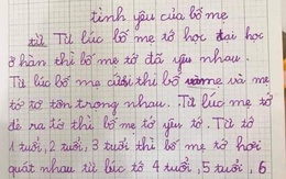 Đoạn văn tả về tình yêu bố mẹ gây sốt MXH: "1,2 tuổi bố mẹ hơi quát nhau, đến 7 tuổi thì quát nhau tung cả nóc nhà"
