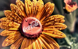 Nhữn công dụng thần kỳ của Coca mà bạn chưa chắc là đã biết