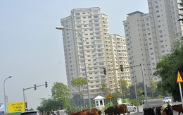 Thanh tra về đất đai loạt dự án bất động sản 'khủng' ở Hà Nội