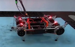 Các nhà khoa học Google tạo ra một con robot 4 chân có khả năng tự học đi mà không cần người giúp
