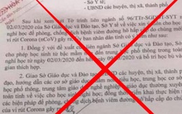 Phát tán văn bản giả mạo UBND tỉnh Hải Dương, cô gái bị phạt nặng