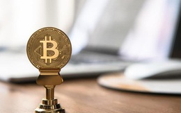 Giá Bitcoin đổ sập, 40 tỷ USD ‘bốc hơi’