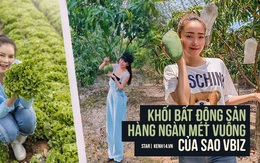 Mục sở thị bất động sản chục ngàn mét vuông của sao Việt: Toàn để trồng rau nuôi cá, Lý Nhã Kỳ có khu đất như nông trại