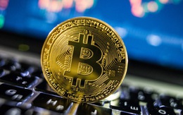 Bitcoin bất ngờ tăng dựng đứng hơn 11%