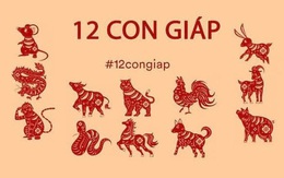 Tử vi tài lộc tháng 3 âm lịch của 12 con giáp: Lộc bổng tuổi Tý rực sáng, sự chủ quan là điểm yếu chí mạng của Mùi, còn Ngọ hãy nhớ 'tham thì thâm'