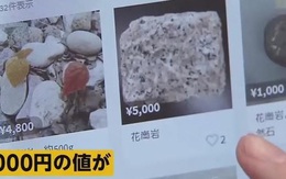 Tranh cướp đá granit ở Nhật, tụ tập ăn lá hẹ ở Nga để "phòng dịch Corona": Đừng để tư duy số đông tác động lý trí, đẩy bạn vào "cửa tử"