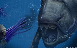 Loài cá Dunkleosteus: "Kẻ hủy diệt" của kỷ Devon