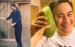 Băng Di khoe quà được Hà Tăng hái tặng từ vườn: Trái xoài cả kg to hơn mặt bạn trai, nàng ngọc nữ quả thật "mát tay"