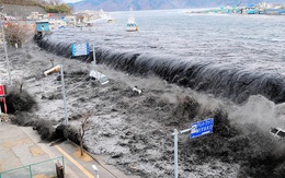 1 trong 2600 người mất tích sau trận động đất Tohoku 2011 bất ngờ được tìm thấy, còn sống và khỏe mạnh