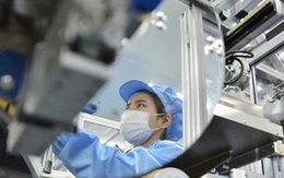 Nếu dịch Covid-19 kéo dài hết tháng 6, chỉ còn 15% DN duy trì hoạt động