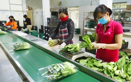 Sản xuất, tiêu thụ nông sản thời Covid-19: Cơ hội đẩy mạnh mối liên kết