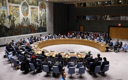 Hội đồng Bảo an LHQ lần đầu tiên thảo luận về đại dịch COVID-19