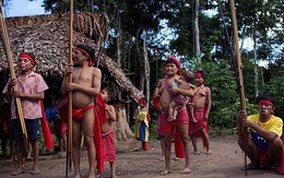 Thổ dân sống biệt lập trong rừng Amazon nhiễm Covid-19 tử vong