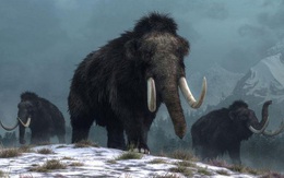 Người tiền sử xây nhà sống qua Kỷ băng hà từ xương quái thú khổng lồ đã bị tuyệt chủng?