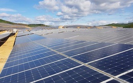 Covid-19 khiến điện gió, điện mặt trời liêu xiêu