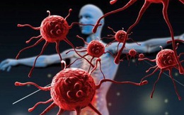 Vì sao tỷ lệ tử vong vì COVID-19 ở nam giới cao hơn?