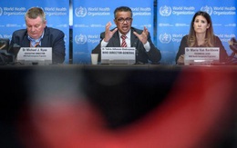 Dịch Covid-19: Khen ngợi Trung Quốc, WHO bị Tổng thống Trump "trừng phạt"?