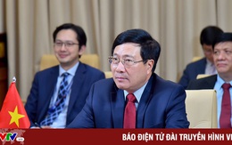 Phó Thủ tướng Phạm Bình Minh nêu 4 đề xuất để cộng đồng quốc tế ứng phó hiệu quả với COVID-19