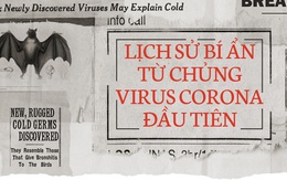 Lịch sử bí ẩn của họ virus corona: Từ cơn cảm lạnh thông thường đến những đại dịch toàn cầu