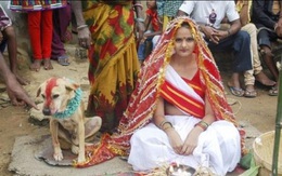 Phong tục kỳ lạ: Người kết hôn với thú cưng để xua đuổi tà ma