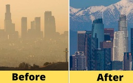 Chùm ảnh: Cảnh sắc thiên nhiên thay đổi ngỡ ngàng khi cả thế giới cách ly xã hội để chống dịch Covid-19